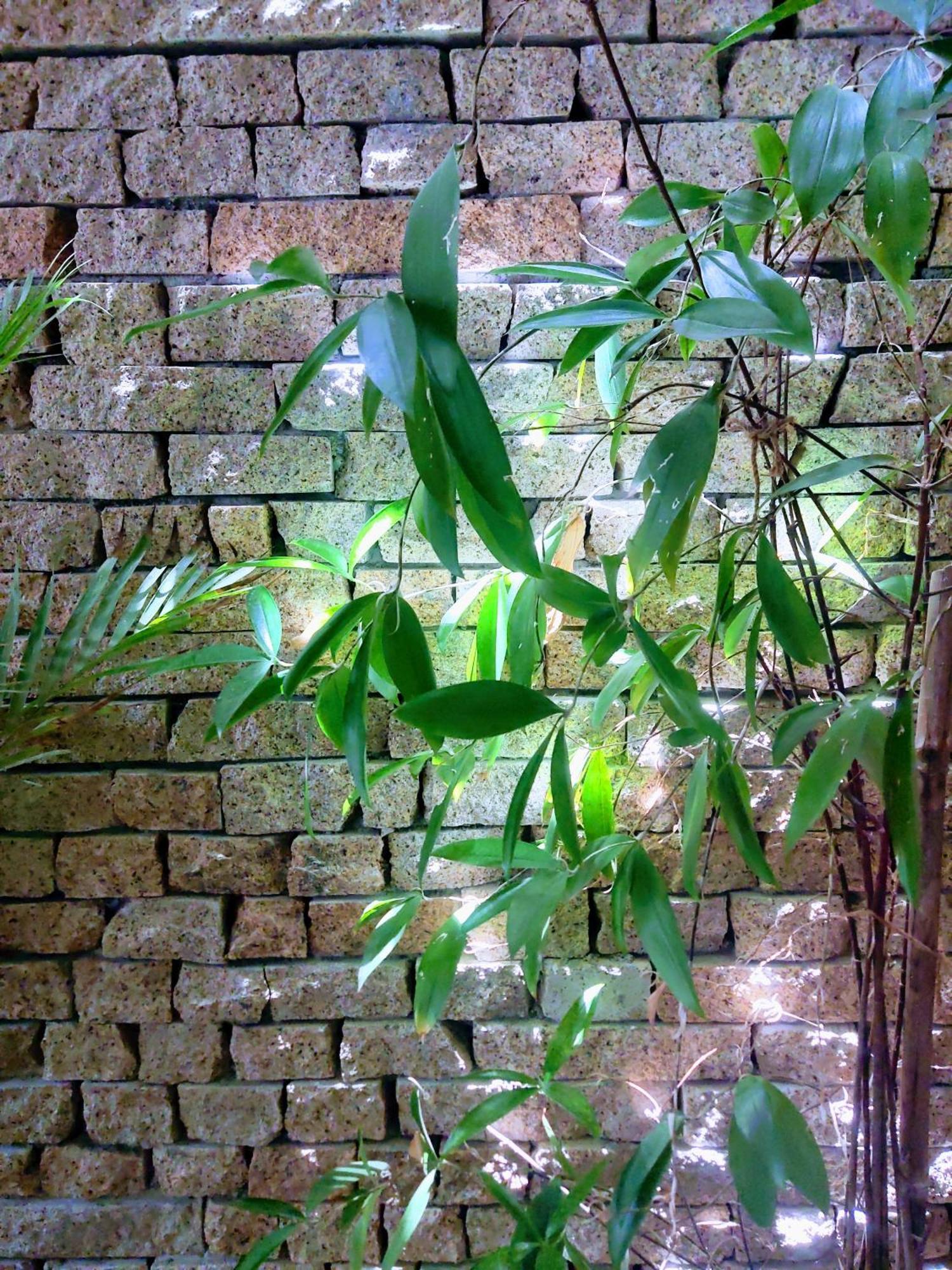 Nap Homestay Kinh Dinh Extérieur photo