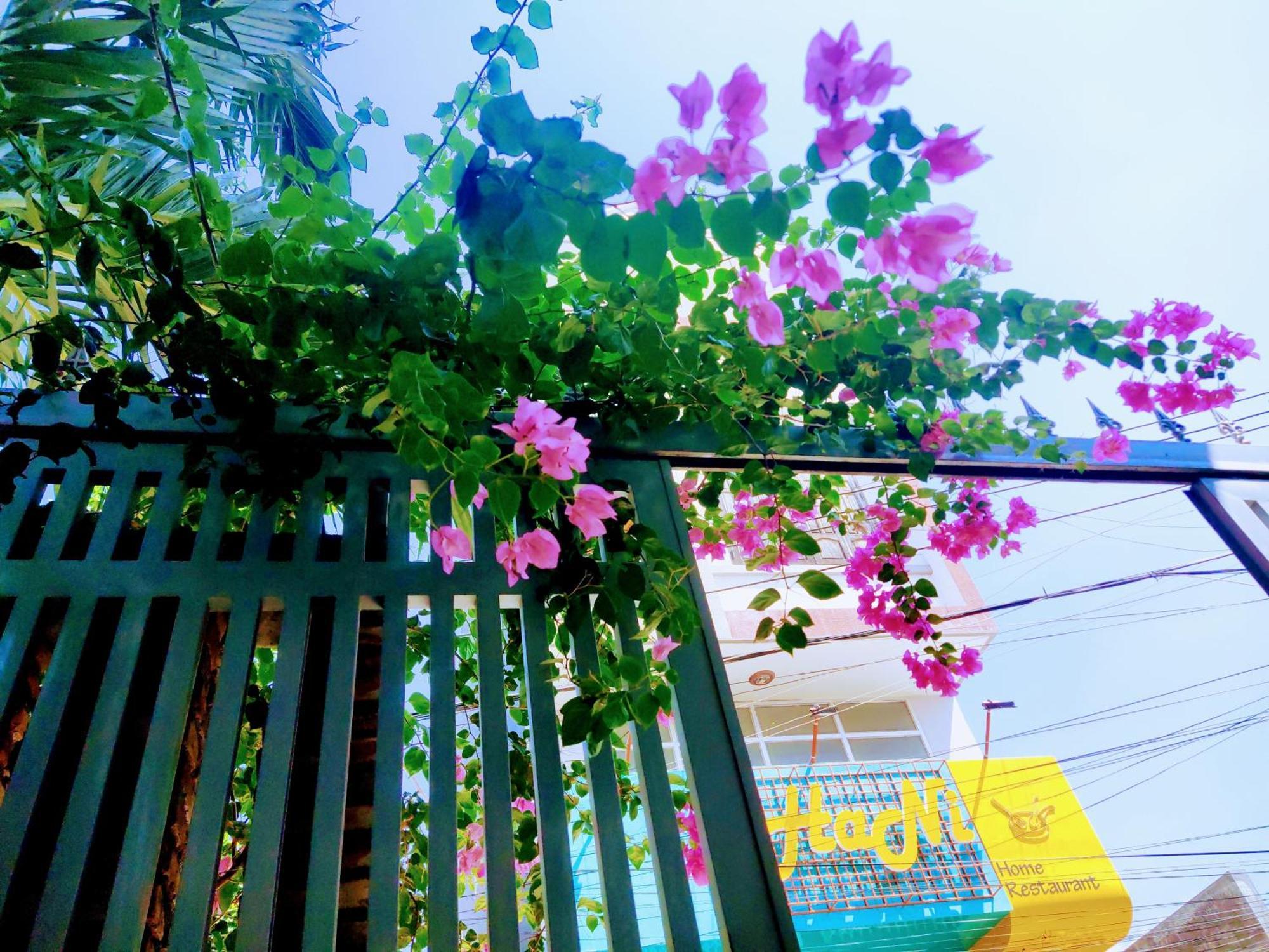 Nap Homestay Kinh Dinh Extérieur photo